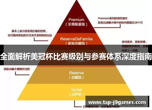全面解析美冠杯比赛级别与参赛体系深度指南 全面解析美冠杯比赛级别与参赛体系深度指南