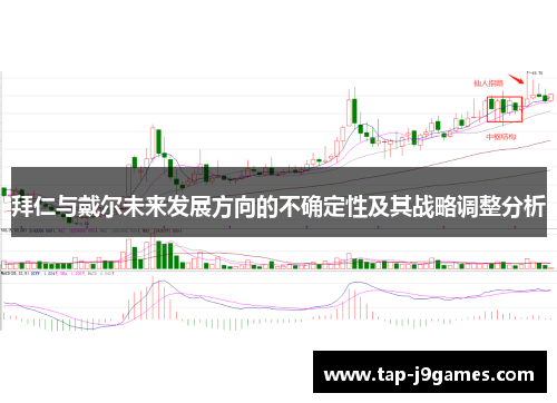 拜仁与戴尔未来发展方向的不确定性及其战略调整分析