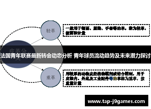 法国青年联赛最新转会动态分析 青年球员流动趋势及未来潜力探讨